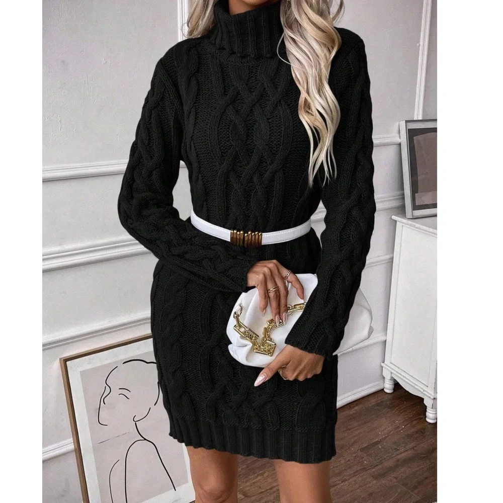 Cozy Solid Turtleneck Chunky Knit Sweater Dress - Picture 7 of 8